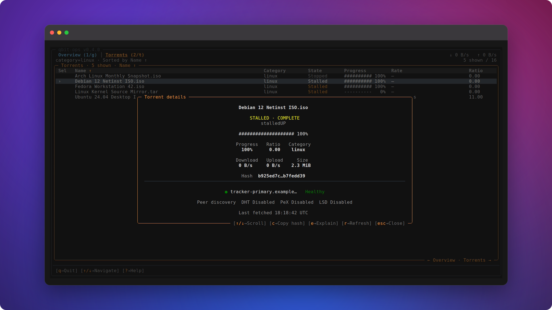 Details for one torrent, trackers included