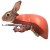 Avatar for HAASLEWER from gravatar.com