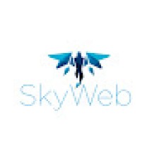 Avatar for skyweb from gravatar.com