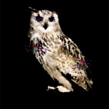 Avatar for petrexxy from gravatar.com