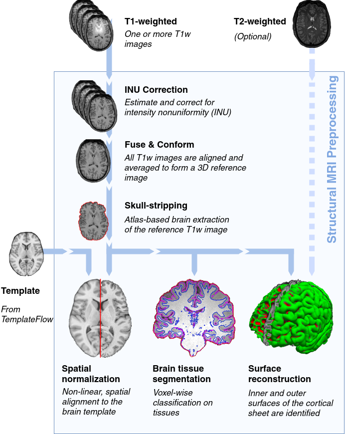 https://github.com/oesteban/smriprep/raw/033a6b4a54ecbd9051c45df979619cda69847cd1/docs/_resources/workflow.png