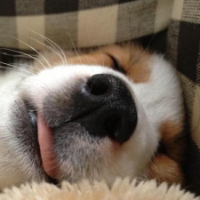 Avatar for Mat from gravatar.com