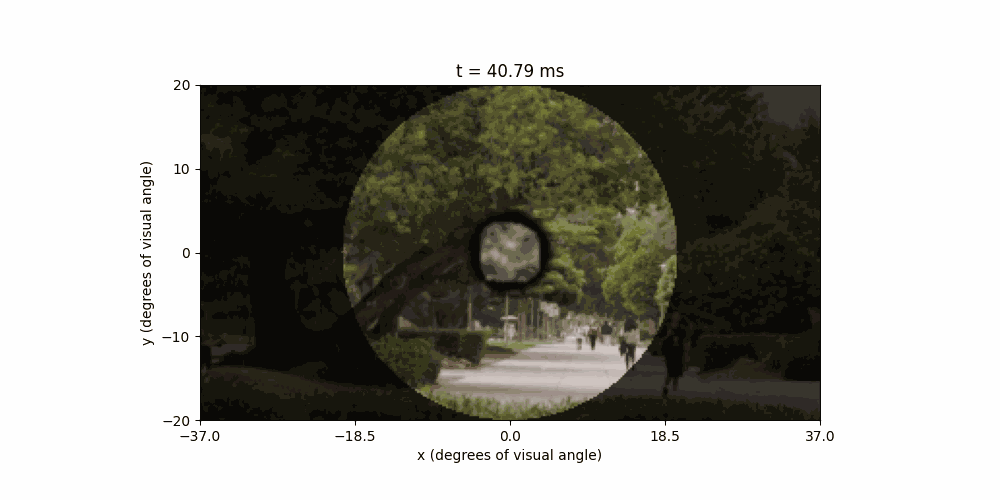 Natural visual scene with simulated PRIMA prosthetic vision during changing gaze