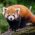 Avatar for qiujv from gravatar.com