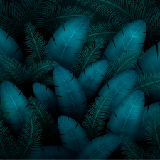 Avatar for Shamuddin from gravatar.com