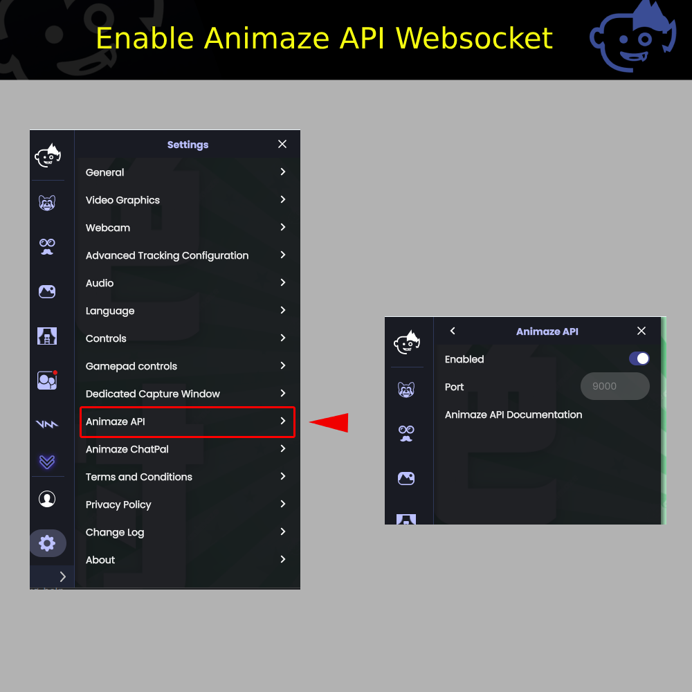 animaze_enable_api