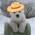 Avatar for bear102 from gravatar.com