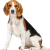 Avatar for JohnDog3112 from gravatar.com
