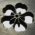 Avatar for rebost from gravatar.com