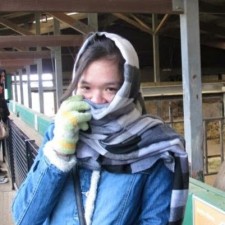 Avatar for Mai Nguyen from gravatar.com