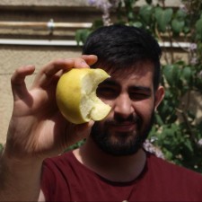 Avatar for Mohammadreza Hajianpour from gravatar.com