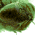 Avatar for zgr3doo from gravatar.com