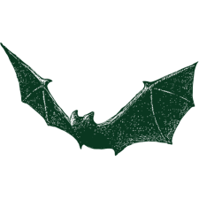 Avatar for Wilder Sensing from gravatar.com