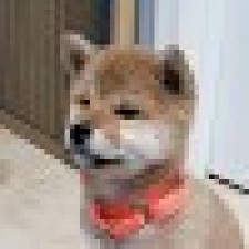 Avatar for Jayden from gravatar.com