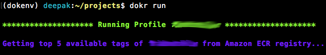 alt dokr_aws_ip