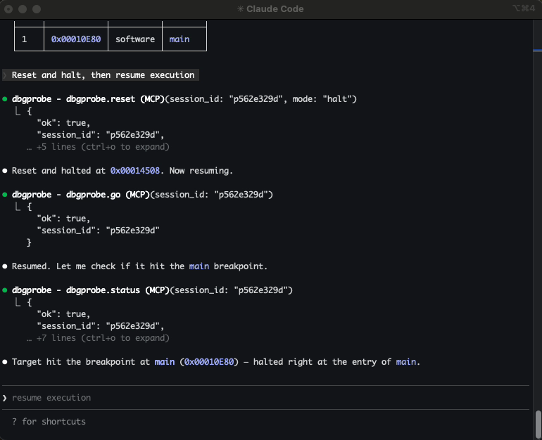 Breakpoint hit at main — symbol-aware debugging