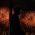 Avatar for shrbwjd from gravatar.com