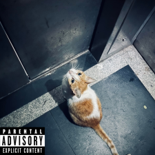 Avatar for Romir from gravatar.com