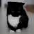 Avatar for nosleepfortonight from gravatar.com