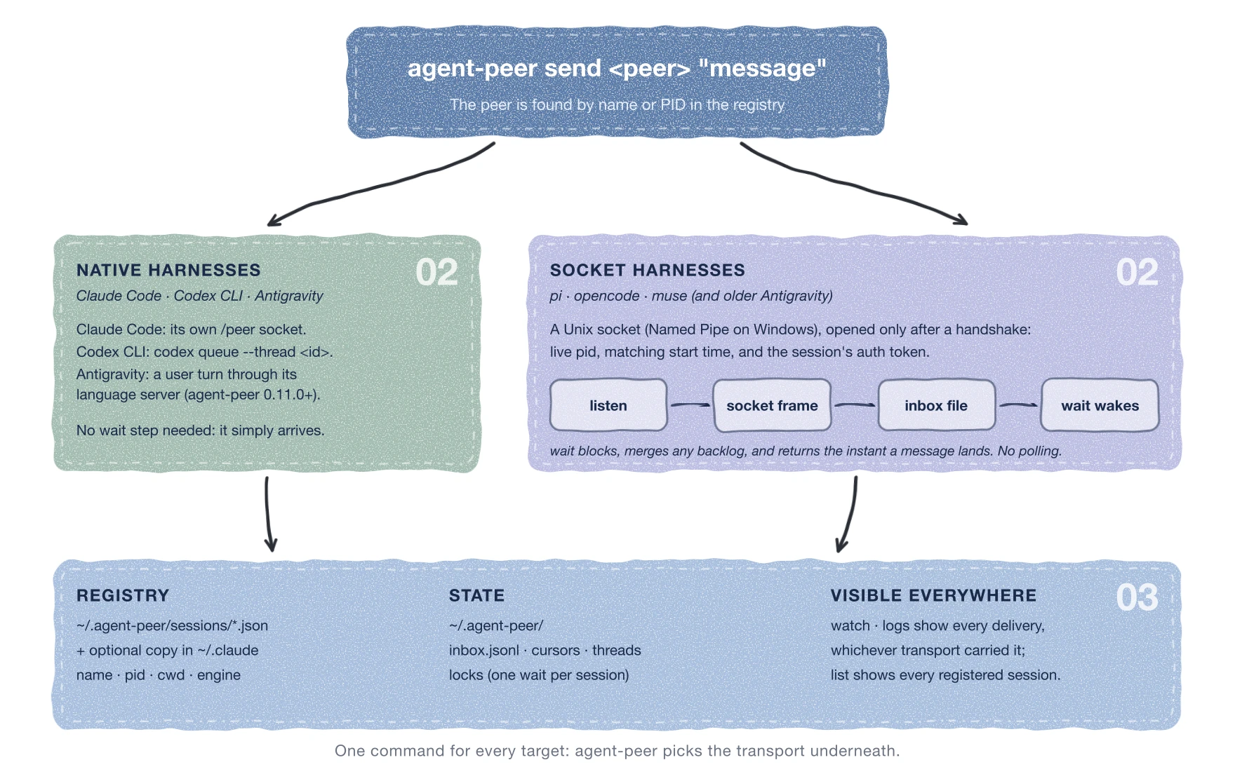 agent-peer send finds the target in the registry, then delivers natively to Claude Code, Codex CLI, and Antigravity, or through a Unix socket, an inbox file, and a wait loop to pi, opencode, and muse. Sessions are listed in the registry; every delivery is recorded in the inbox log in the state directory.