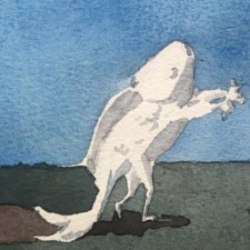 Avatar for Shengyu Zhang from gravatar.com