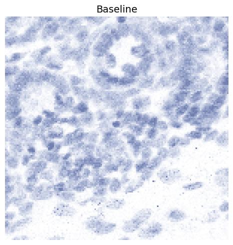 Baseline