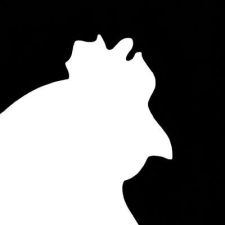 Avatar for chkndrp from gravatar.com