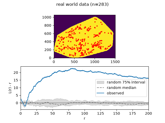 Ripley L(r) - r curve for real world data, against the random noise floor