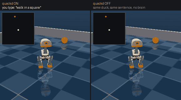 Two Microduck robots side by side in a MuJoCo physics simulator, running the same world. On the left, with quackd, the duck walks a square and a top-down inset traces its path. On the right, without quackd, the duck stands still and its inset shows a single unmoving dot.