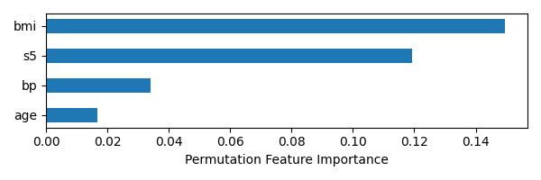 Permutation Feature Importance