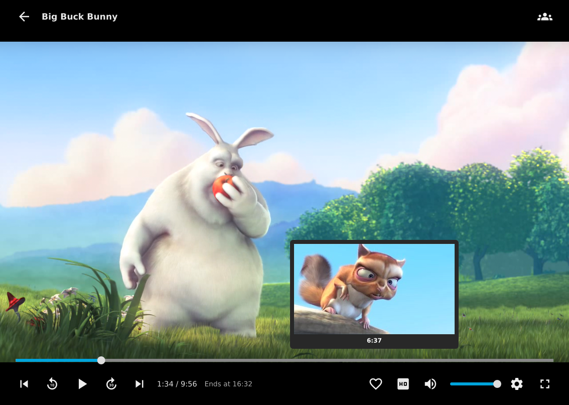 The media player