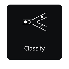 Open the Classify API