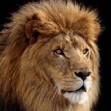 Avatar for Patrik Pihlström from gravatar.com