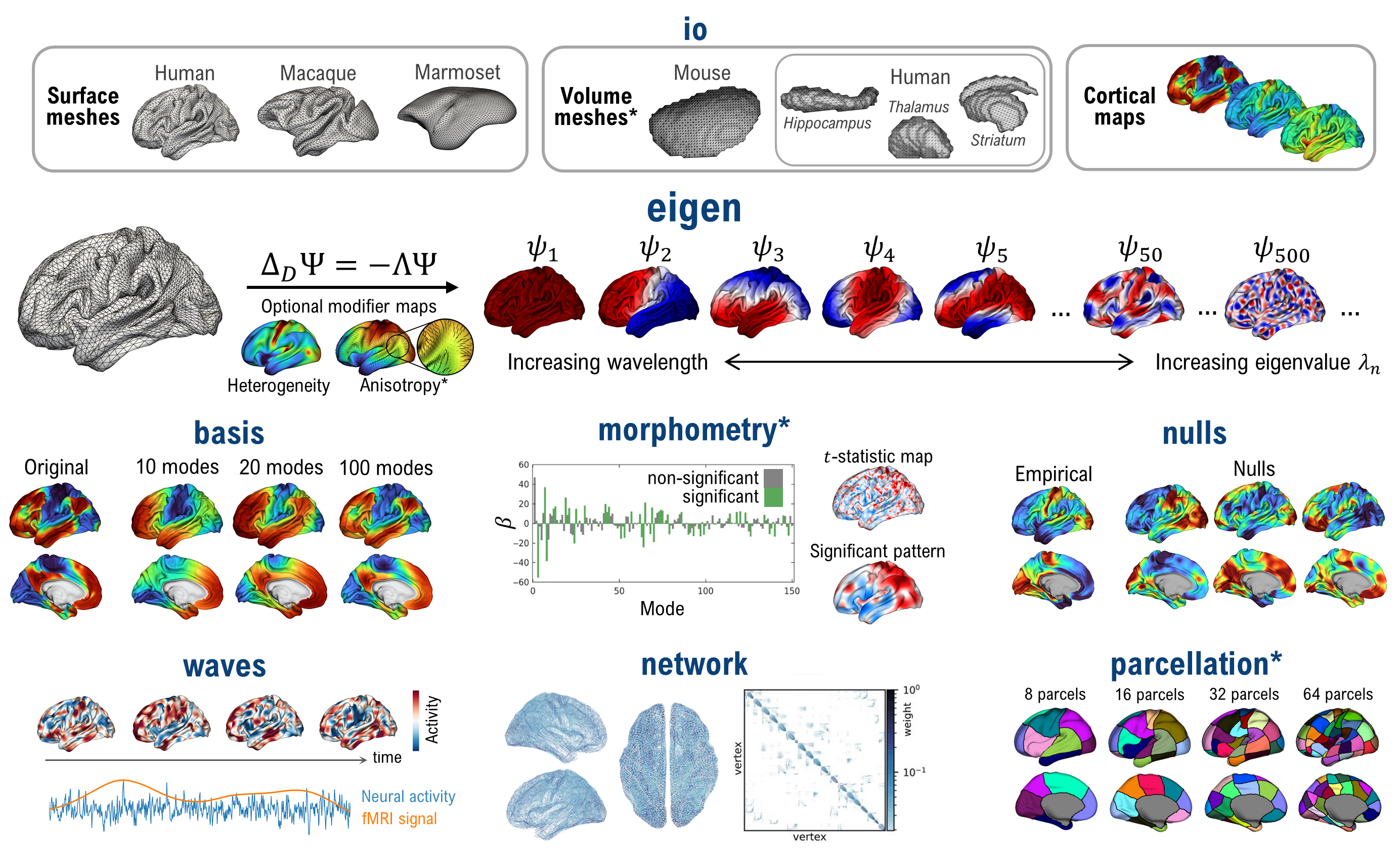https://github.com/NSBLab/neuromodes/raw/main/docs/_static/overview.png