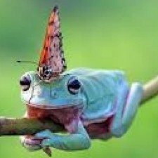 Avatar for oliverjo from gravatar.com