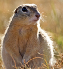 Avatar for Zhengyue Huang from gravatar.com