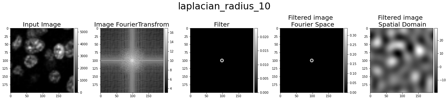 laplacian 10