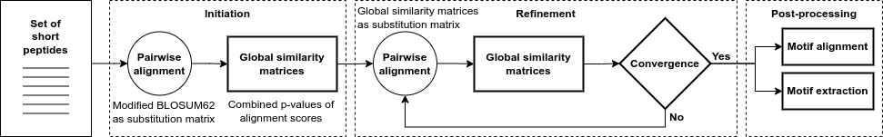 FaSTPACE algorithm