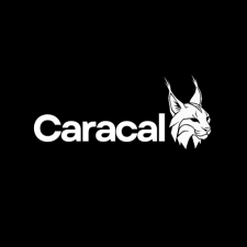 Avatar for Caracal from gravatar.com