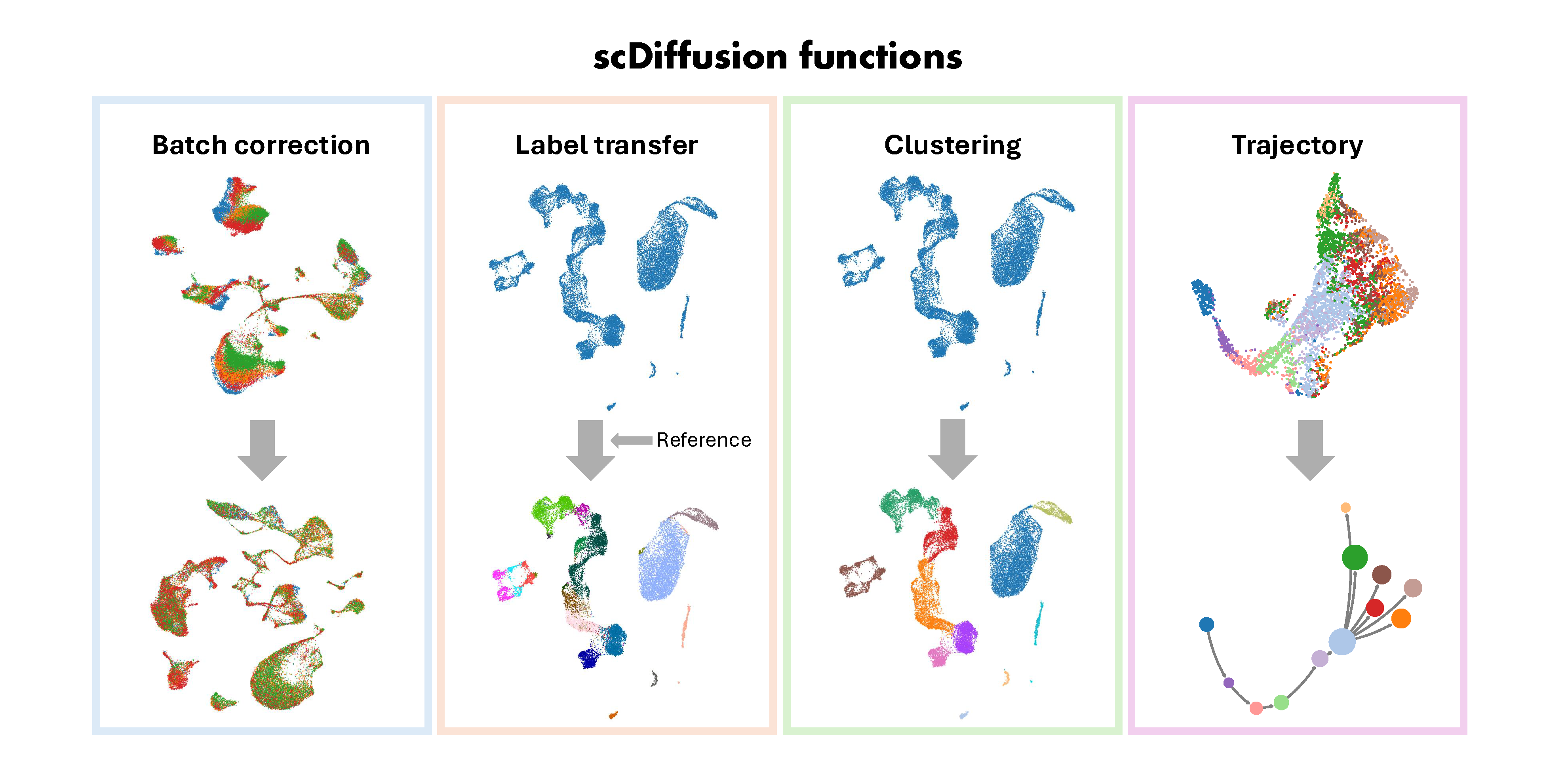 scDiffusion