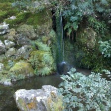 Avatar for David.Walter from gravatar.com