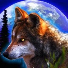 Avatar for kariminf from gravatar.com
