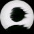 Avatar for leonardo-diciano from gravatar.com