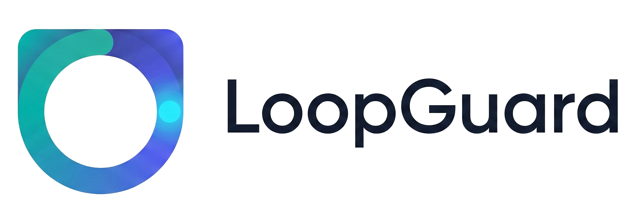 LoopGuard