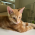Avatar for zwliao from gravatar.com