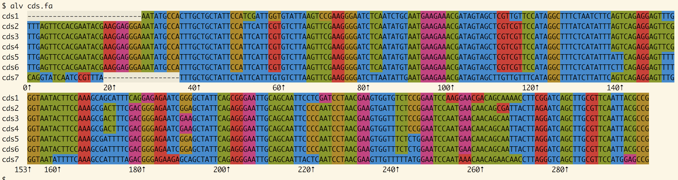 Seven coding DNA sequences