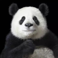 Avatar for Tong Liu from gravatar.com