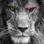 Avatar for Piribo from gravatar.com