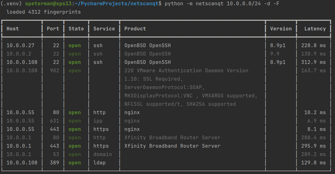 netscanqt rich CLI output: colored port states and a fingerprinted results table