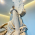 Avatar for nikoloside from gravatar.com
